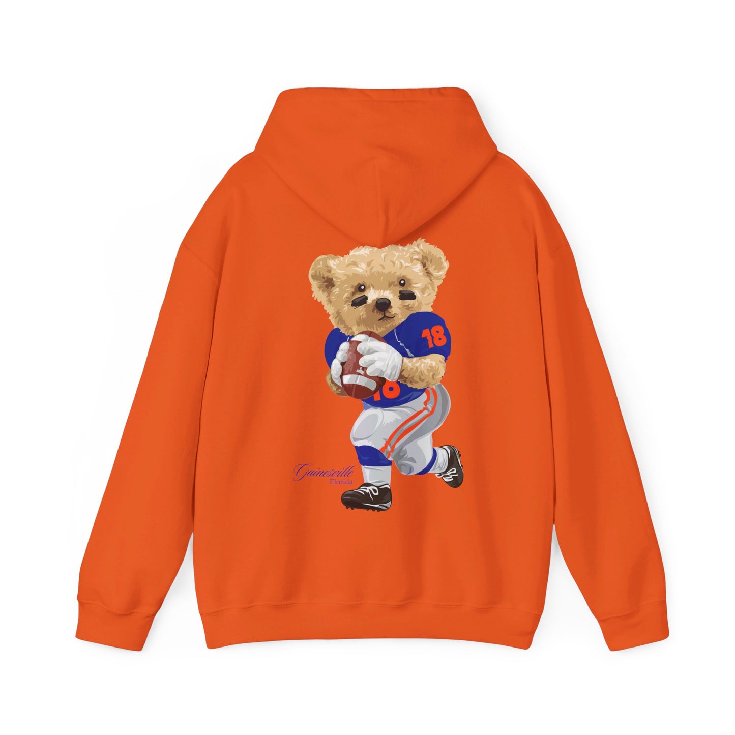 GAINESVILLE FLORIDA TEDDY HOODIE