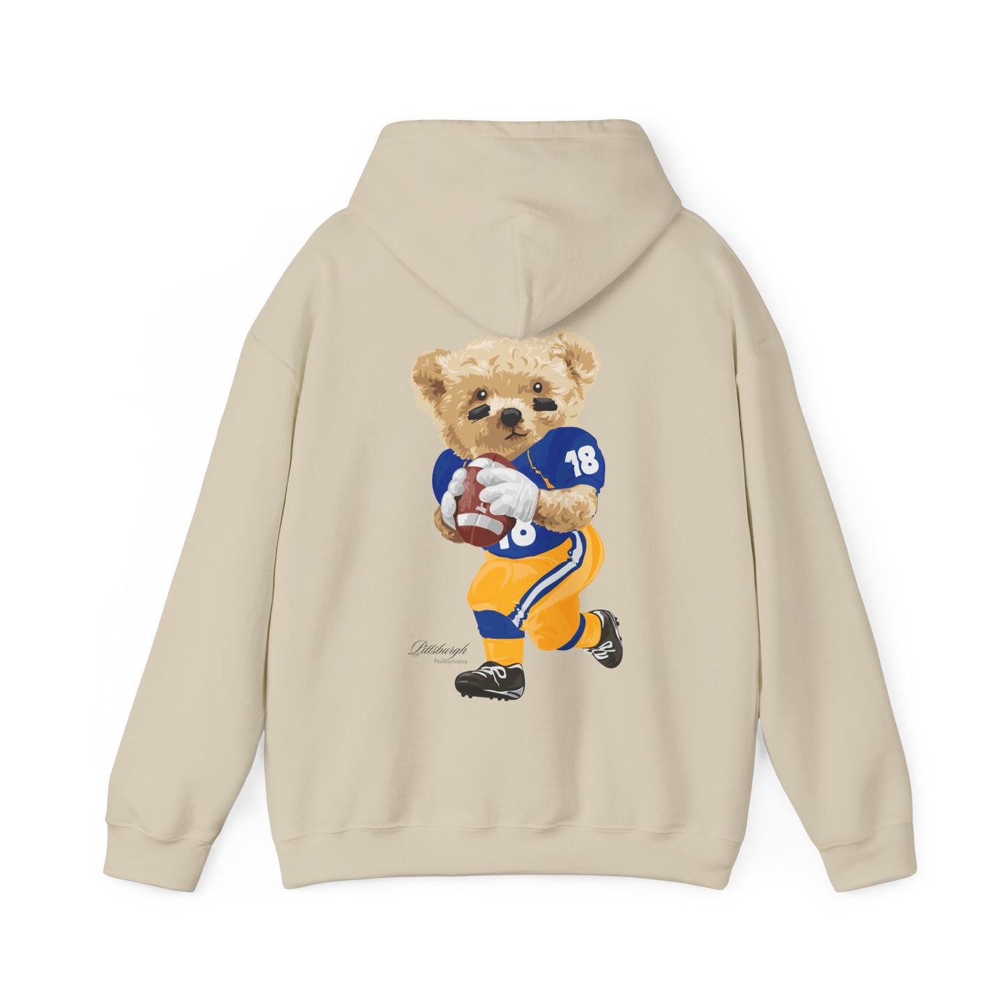 PITTSBURGH, PENNSYLVANIA TEDDY HOODIE