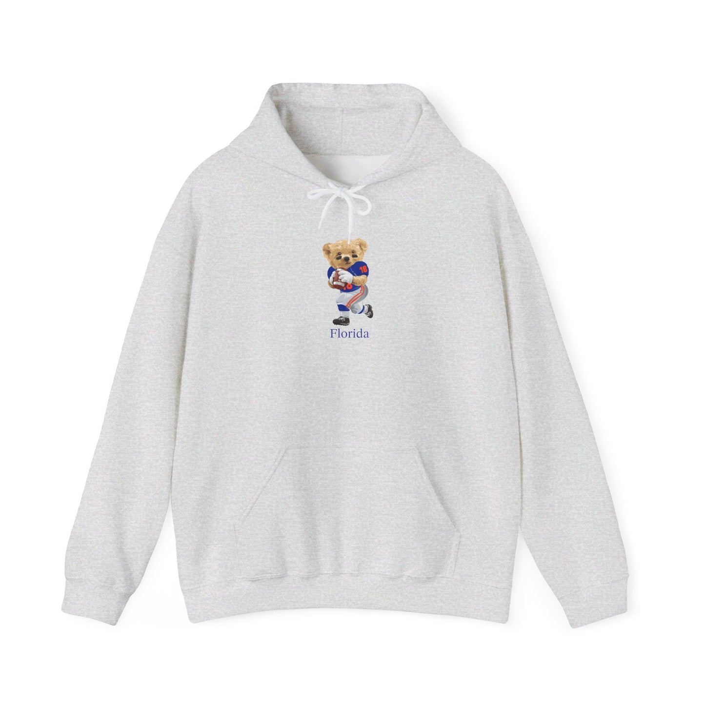 GAINESVILLE FLORIDA TEDDY HOODIE