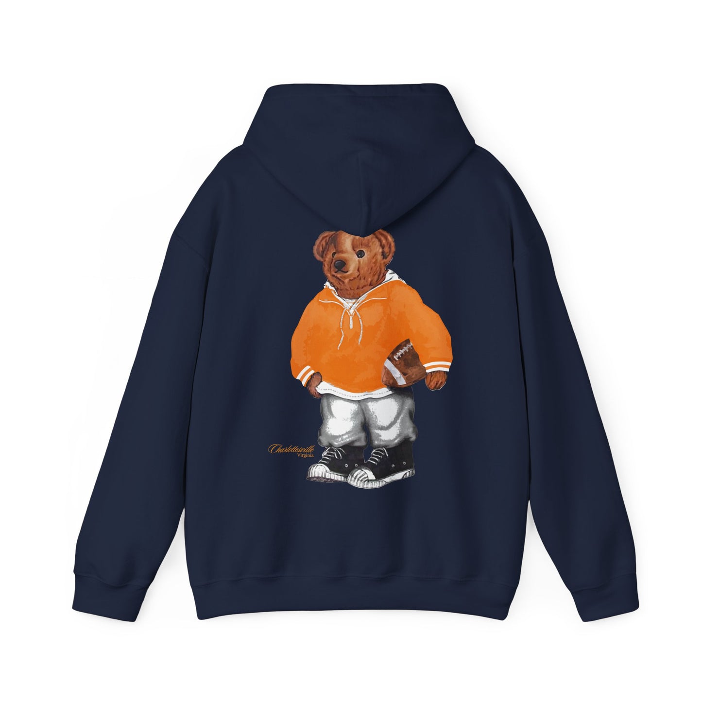 CHARLOTTESVILLE, VIRGINIA HOODIE