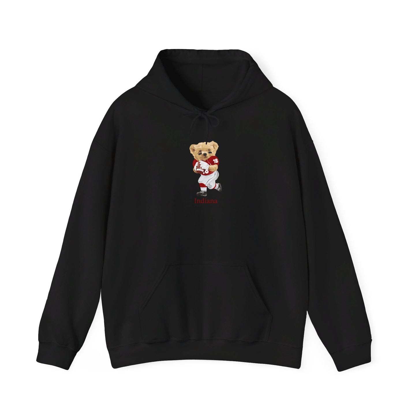 BLOOMINGTON INDIANA TEDDY HOODIE