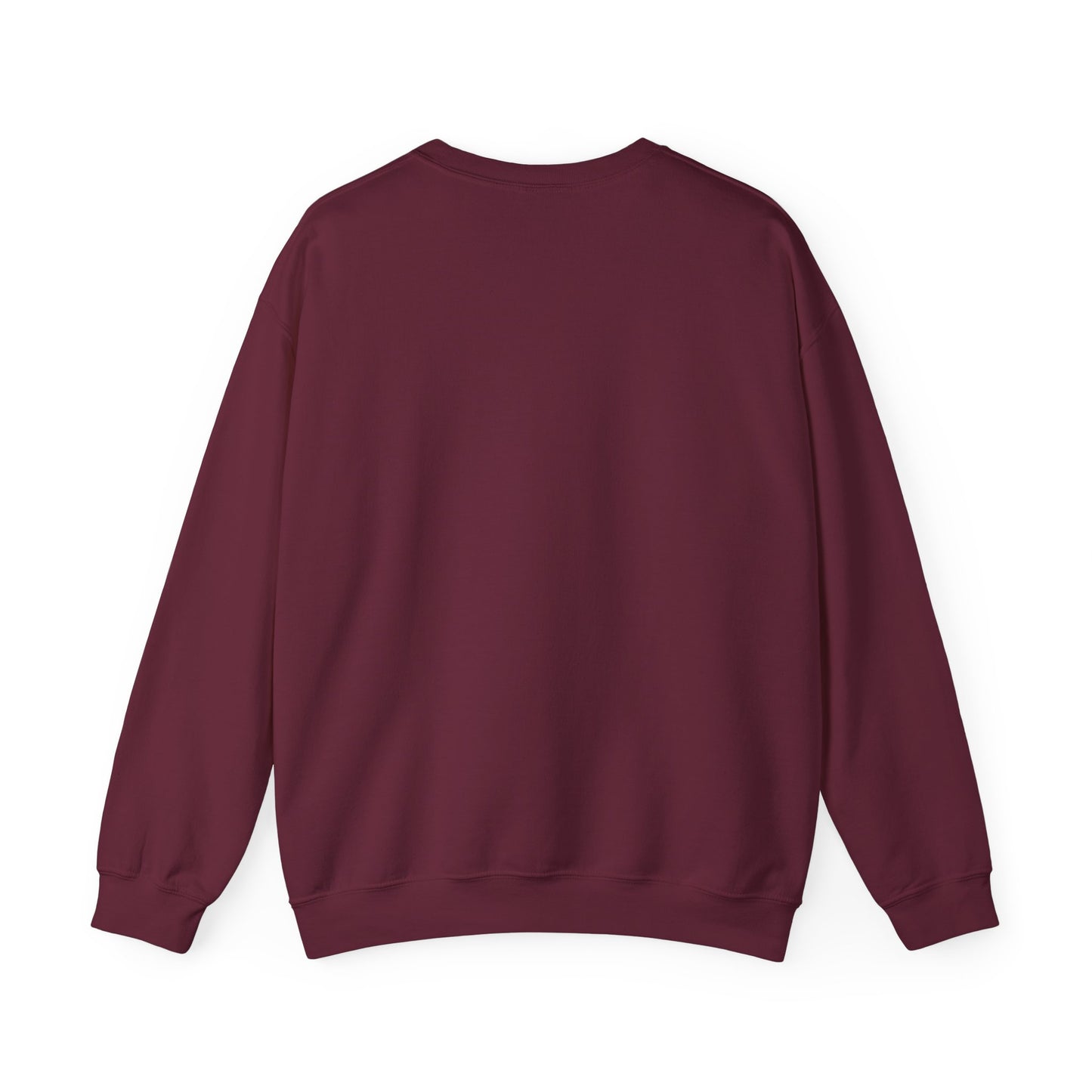 COLUMBIA, SOUTH CAROLINA SWEATSHIRT