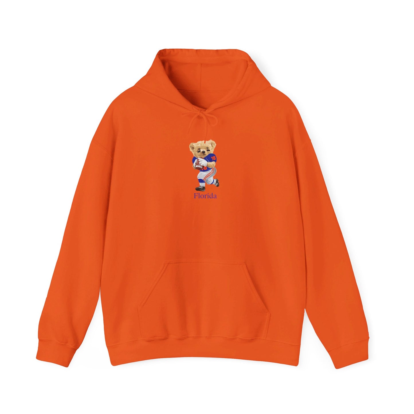 GAINESVILLE FLORIDA TEDDY HOODIE