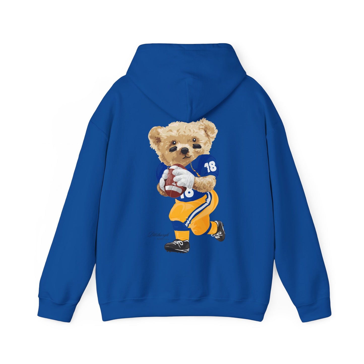 PITTSBURGH, PENNSYLVANIA TEDDY HOODIE