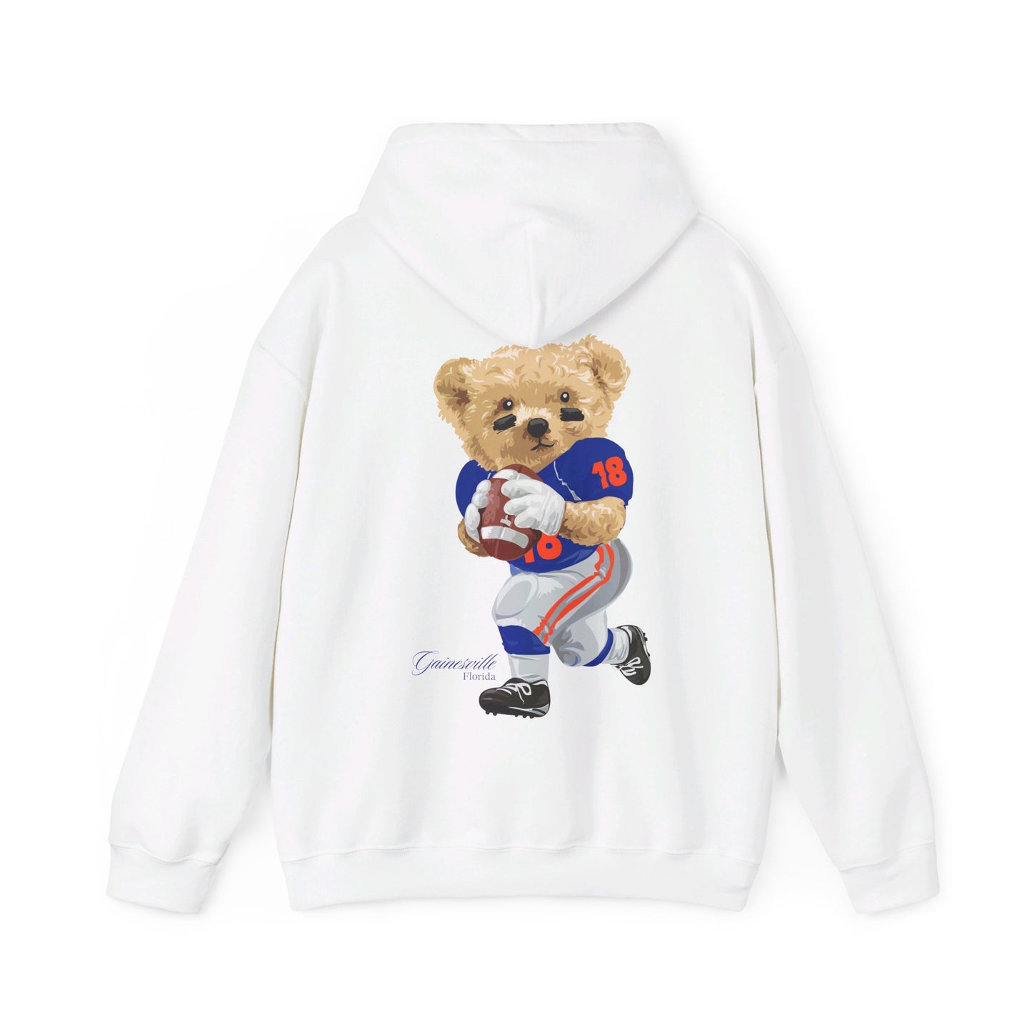 GAINESVILLE FLORIDA TEDDY HOODIE
