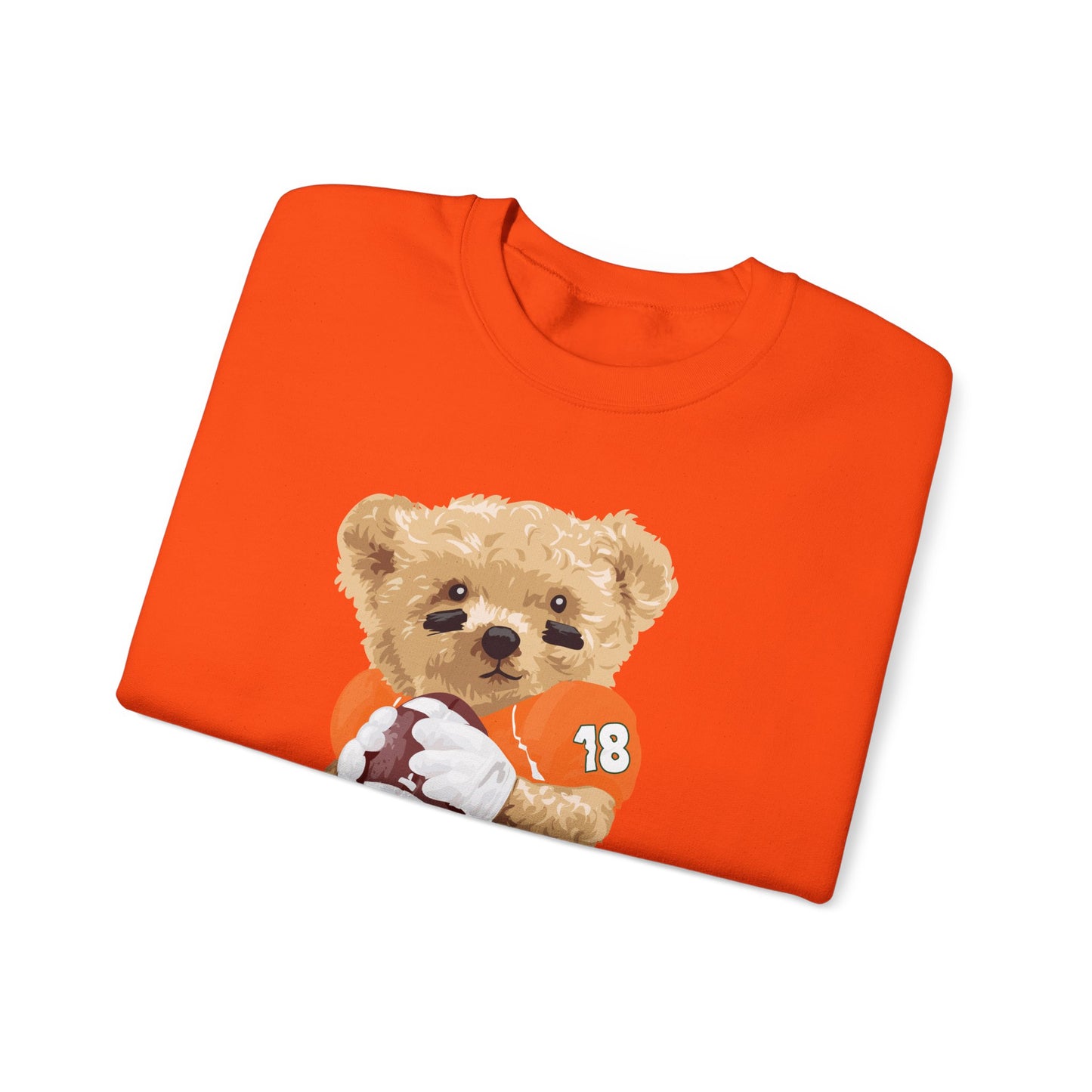 CORAL GABLES, FLORIDA TEDDY SWEATSHIRT