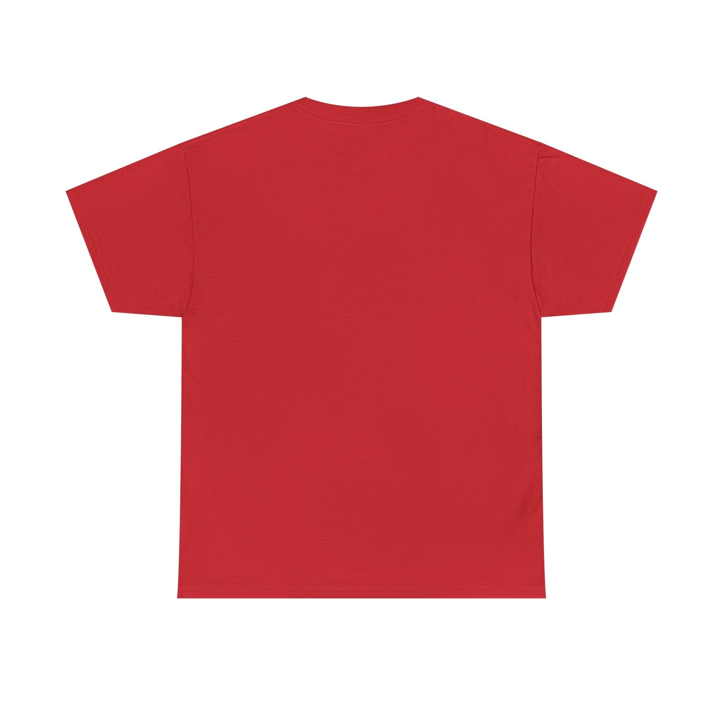 TUCSON ARIZONA TEDDY T-SHIRT