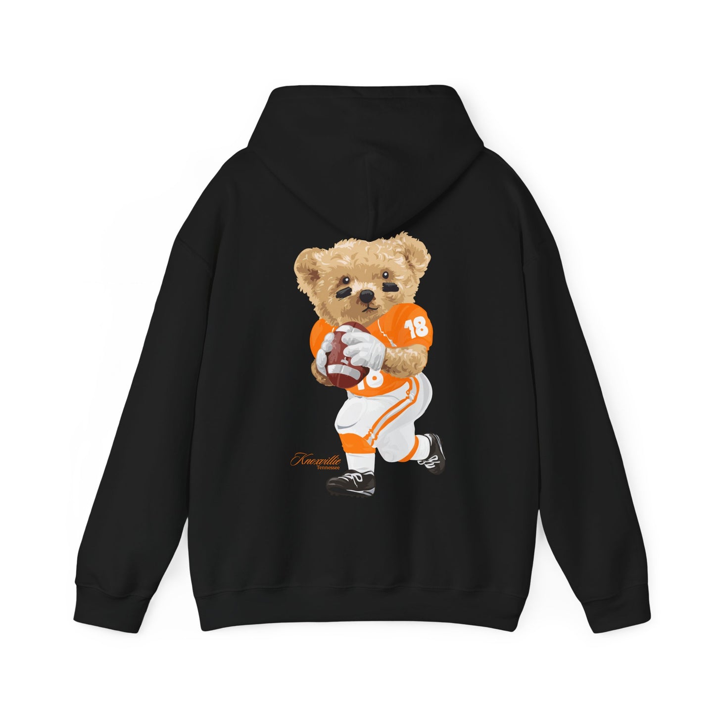 KNOXVILLE TENNESSEE TEDDY HOODIE