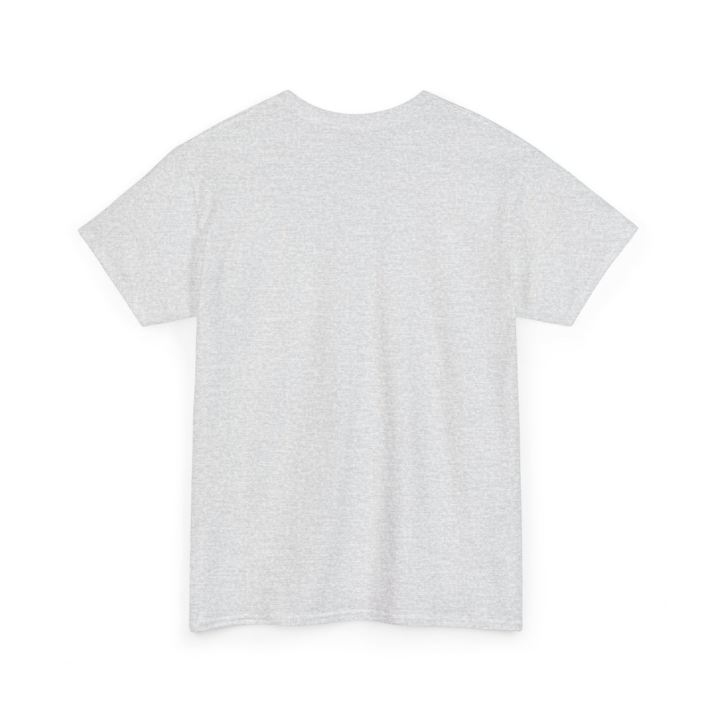 ORLANDO FLORIDA TEDDY T-SHIRT