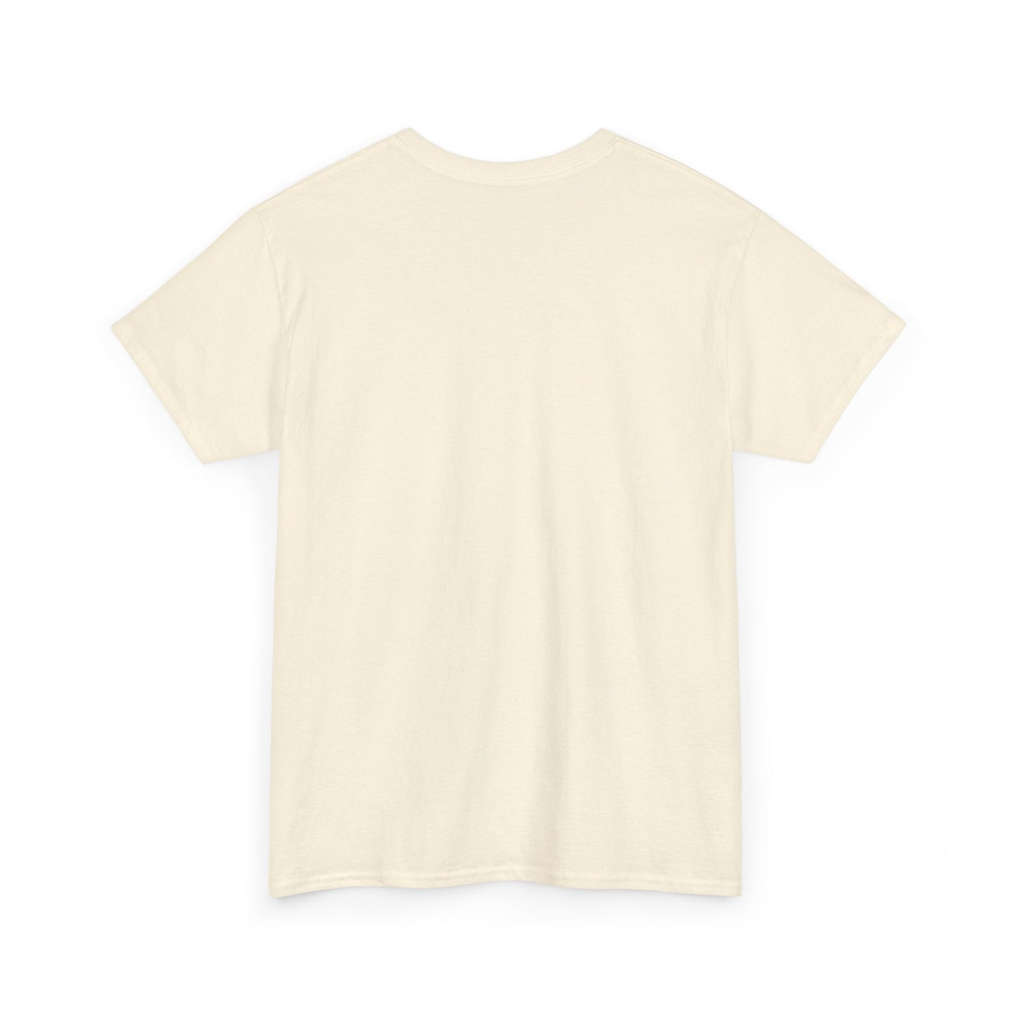 ORLANDO FLORIDA TEDDY T-SHIRT