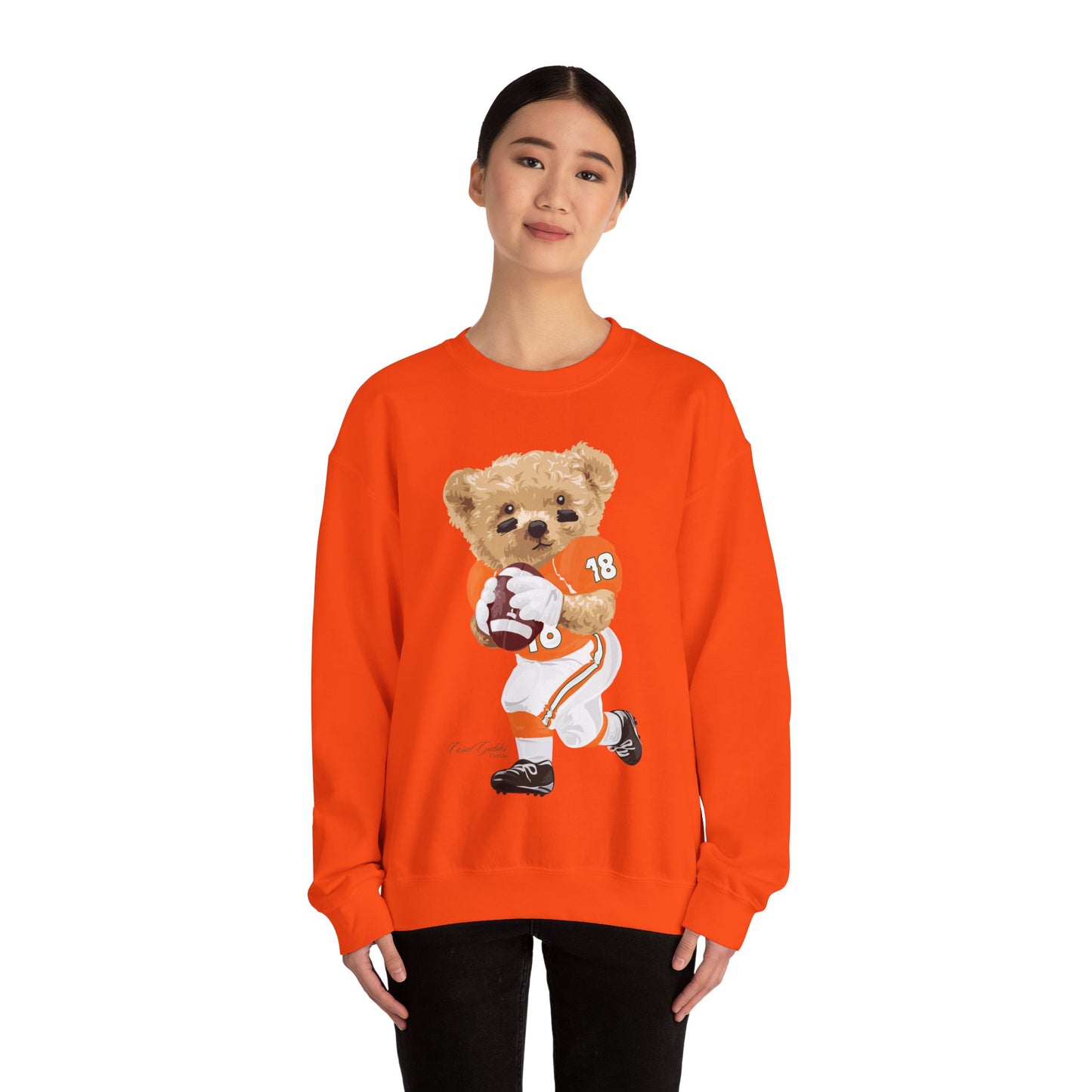 CORAL GABLES, FLORIDA TEDDY SWEATSHIRT