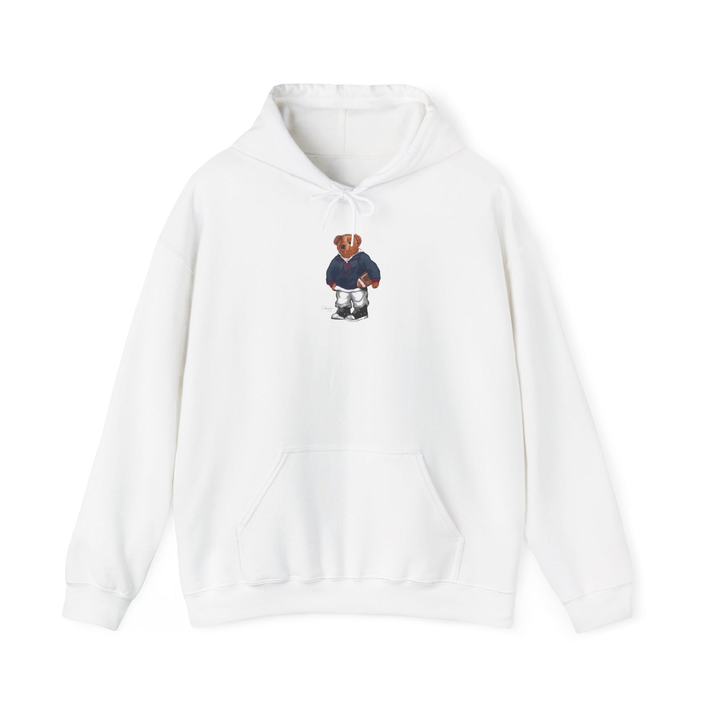 TUCSON ARIZONA TEDDY HOODIE