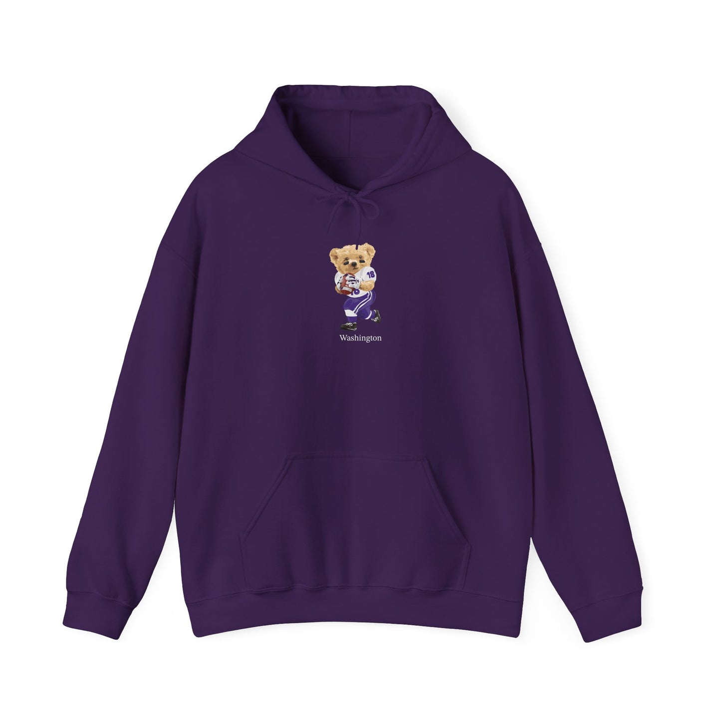 SEATTLE WASHINGTON TEDDY HOODIE