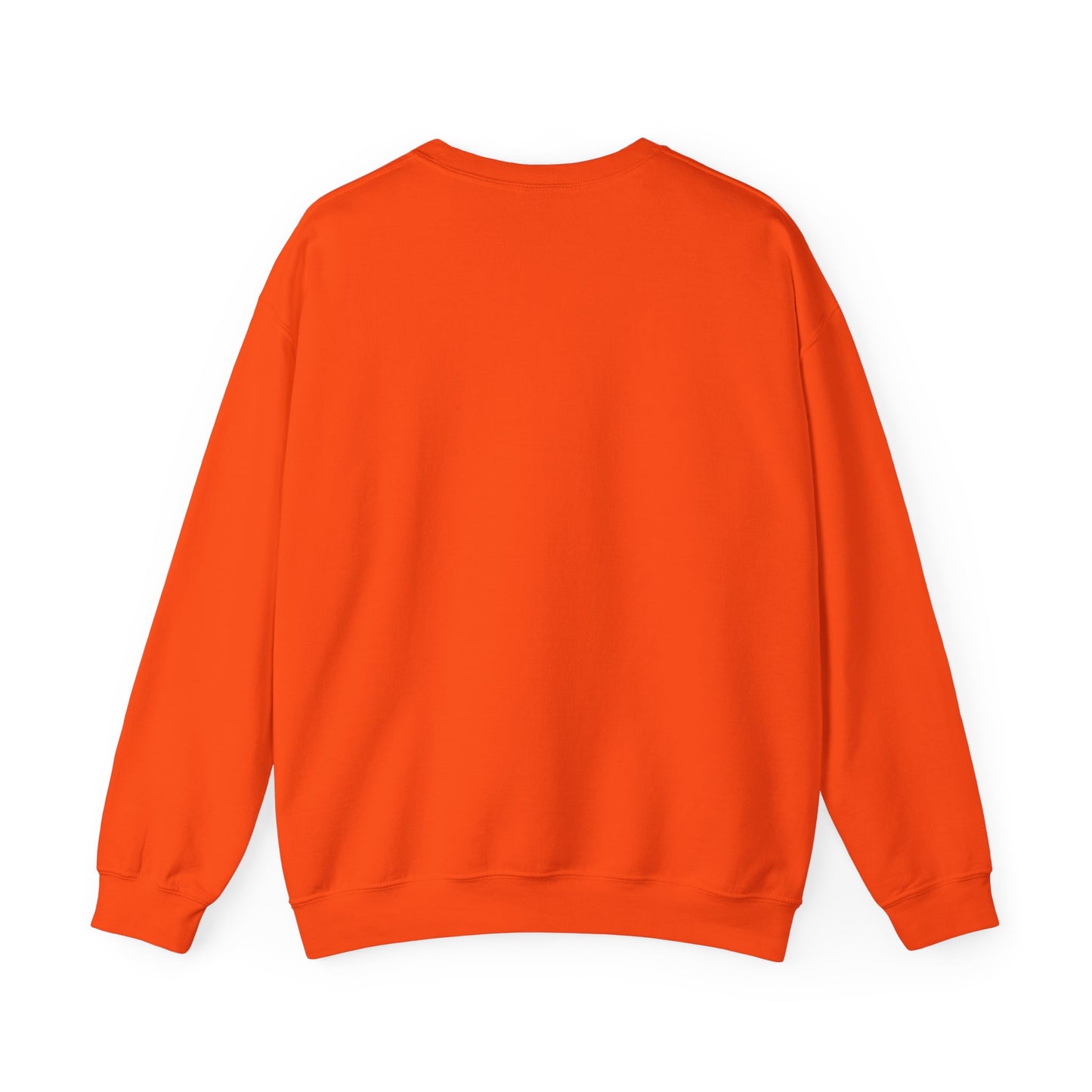 CORAL GABLES, FLORIDA TEDDY SWEATSHIRT