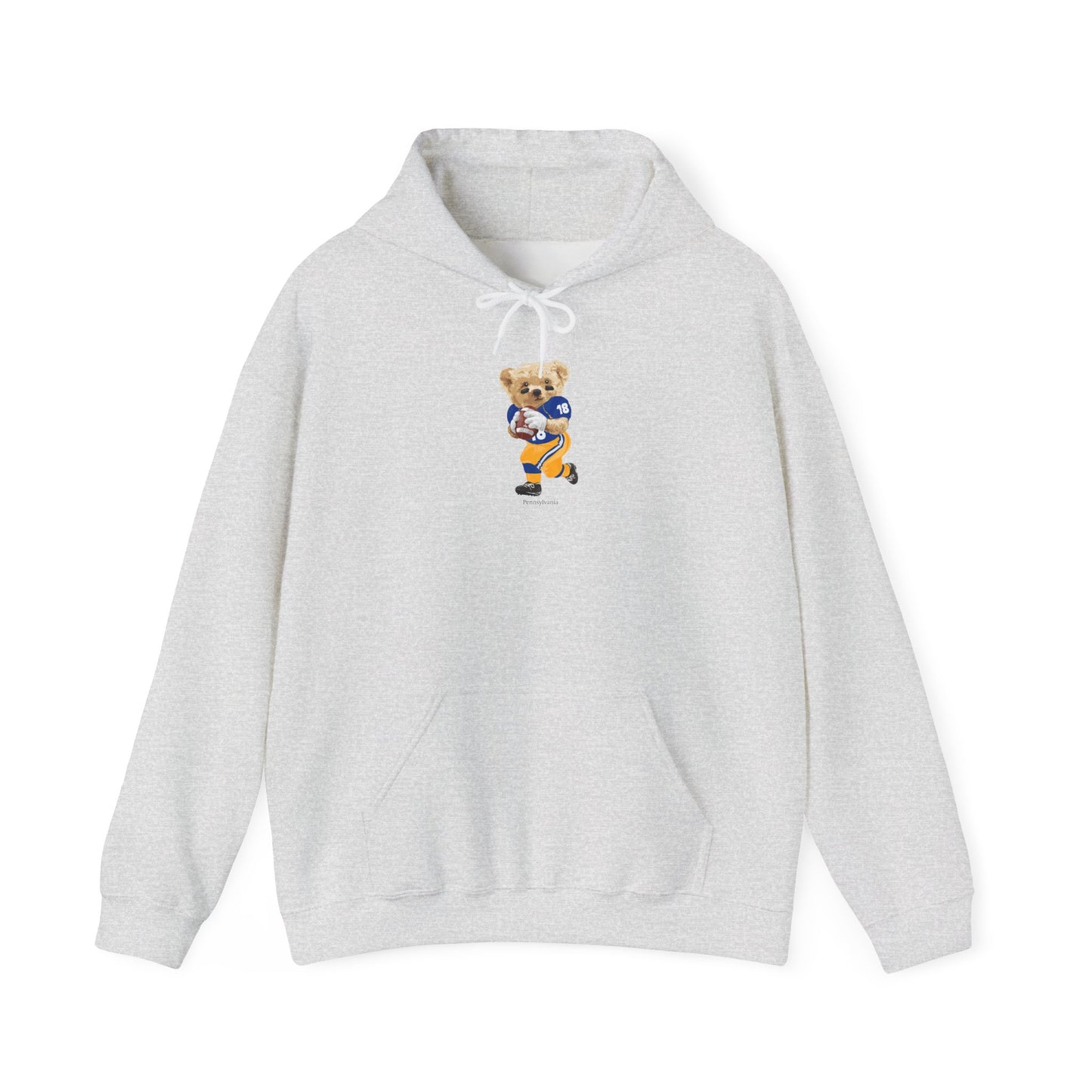 PITTSBURGH, PENNSYLVANIA TEDDY HOODIE