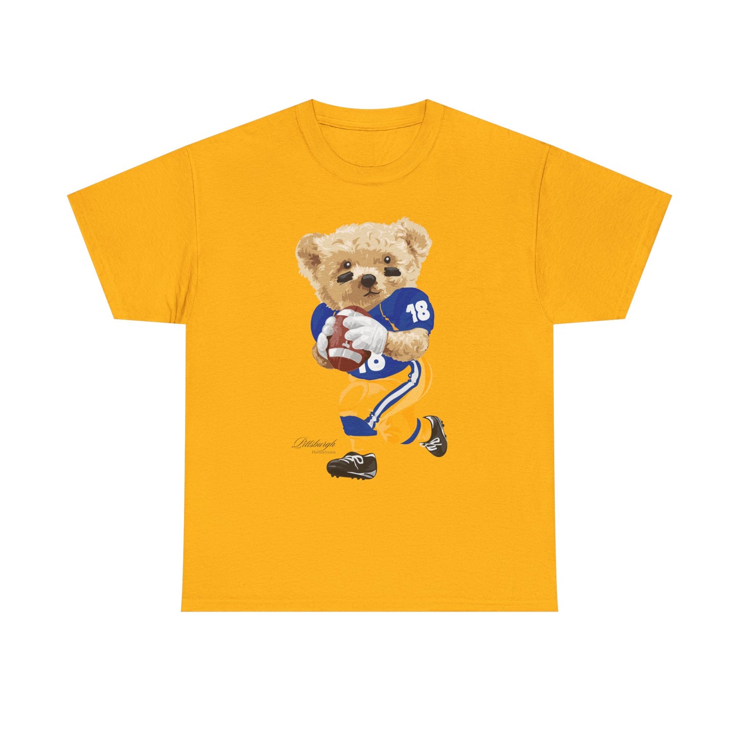 PITTSBURGH, PENNSYLVANIA TEDDY T-SHIRT