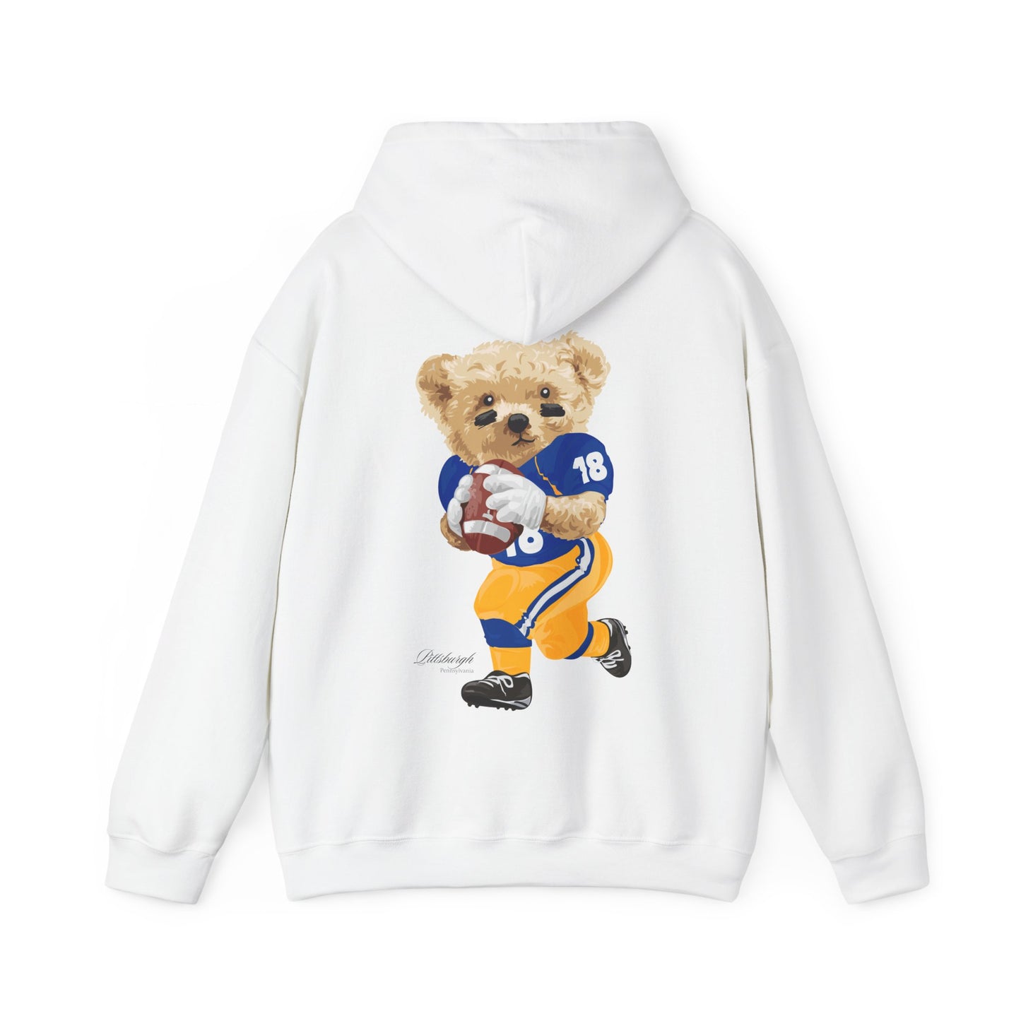 PITTSBURGH, PENNSYLVANIA TEDDY HOODIE