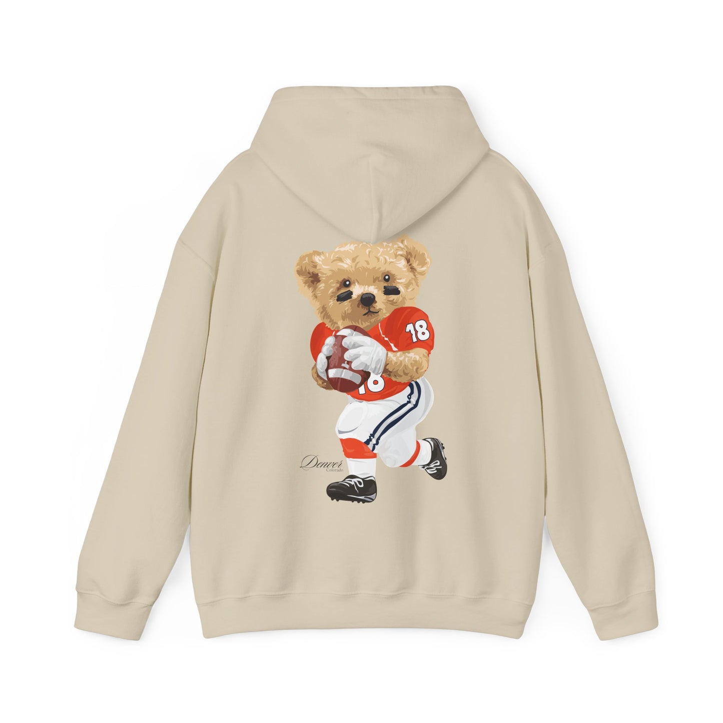 DENVER COLORADO TEDDY HOODIE