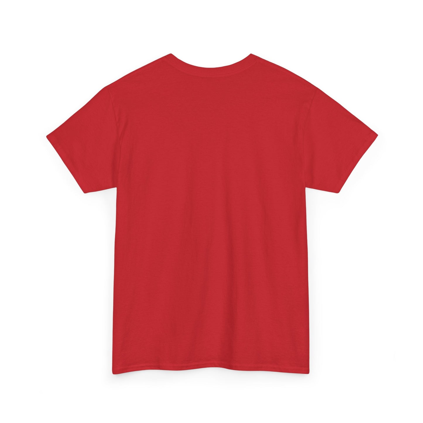 TUCSON ARIZONA TEDDY T-SHIRT