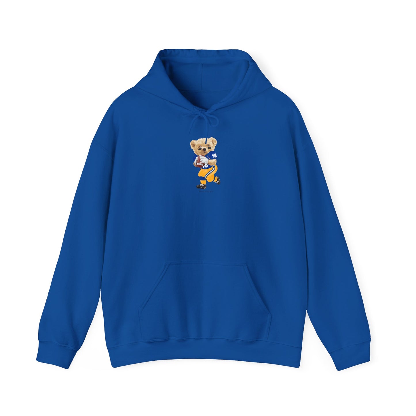 PITTSBURGH, PENNSYLVANIA TEDDY HOODIE