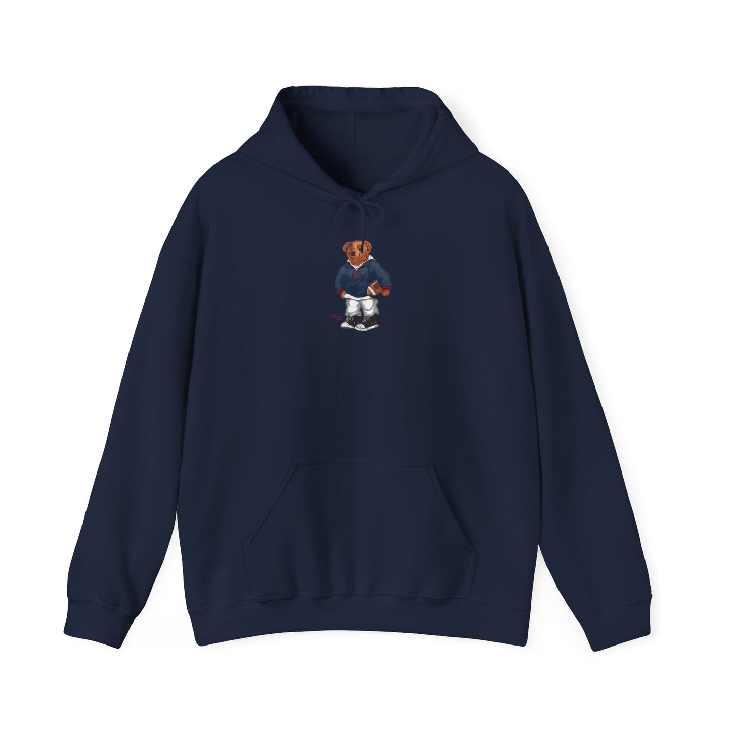 TUCSON ARIZONA TEDDY HOODIE