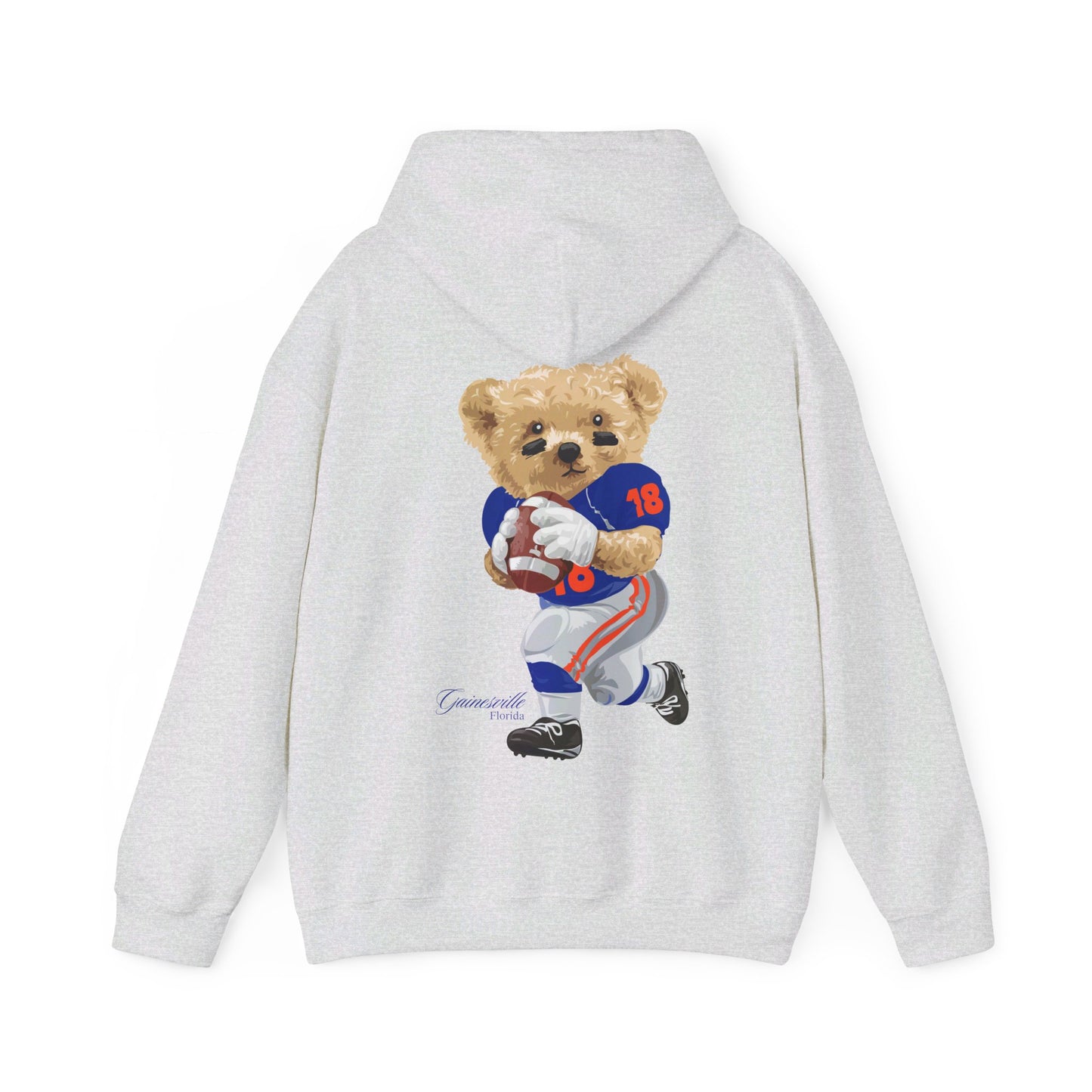 GAINESVILLE FLORIDA TEDDY HOODIE