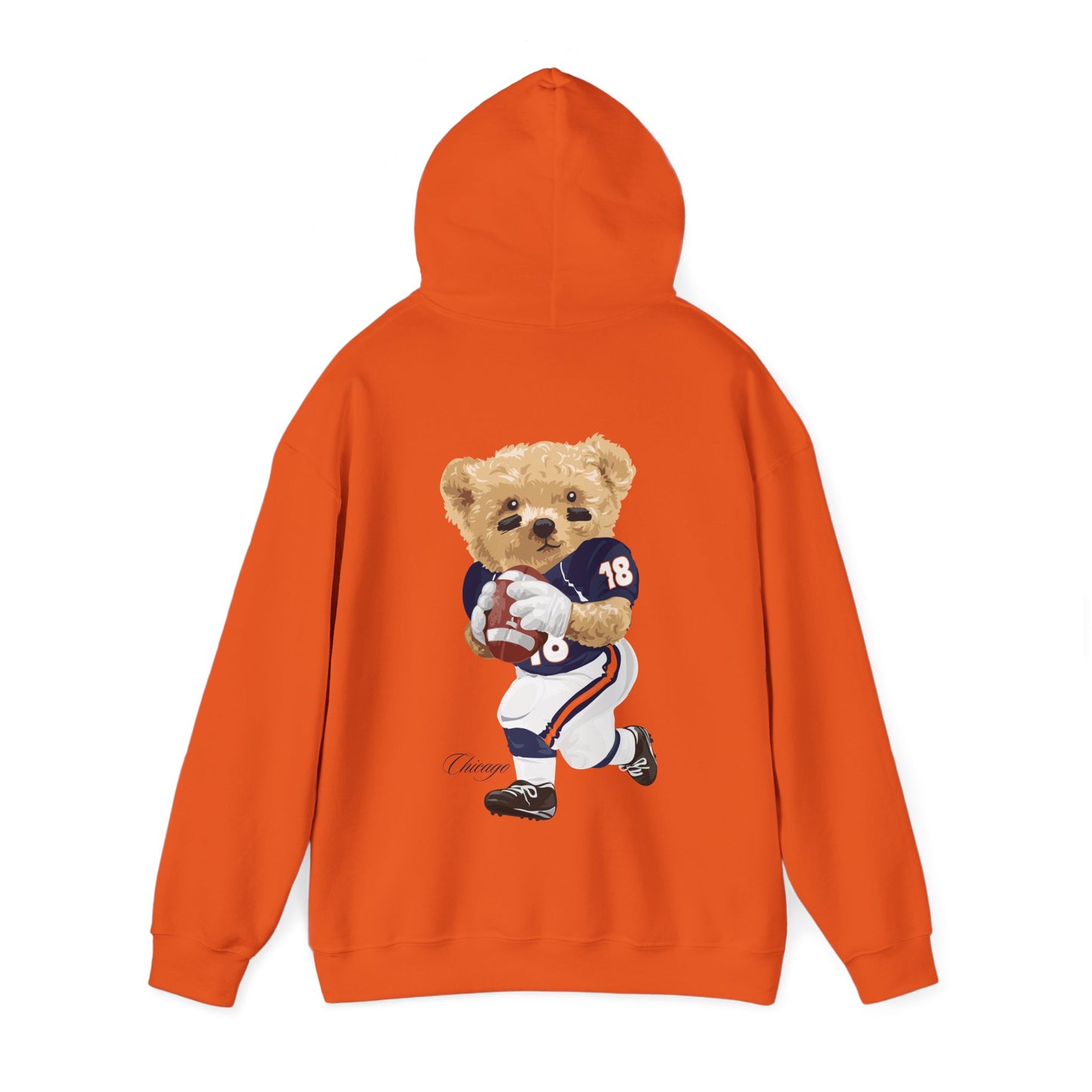 CHICAGO TEDDY HOODIE