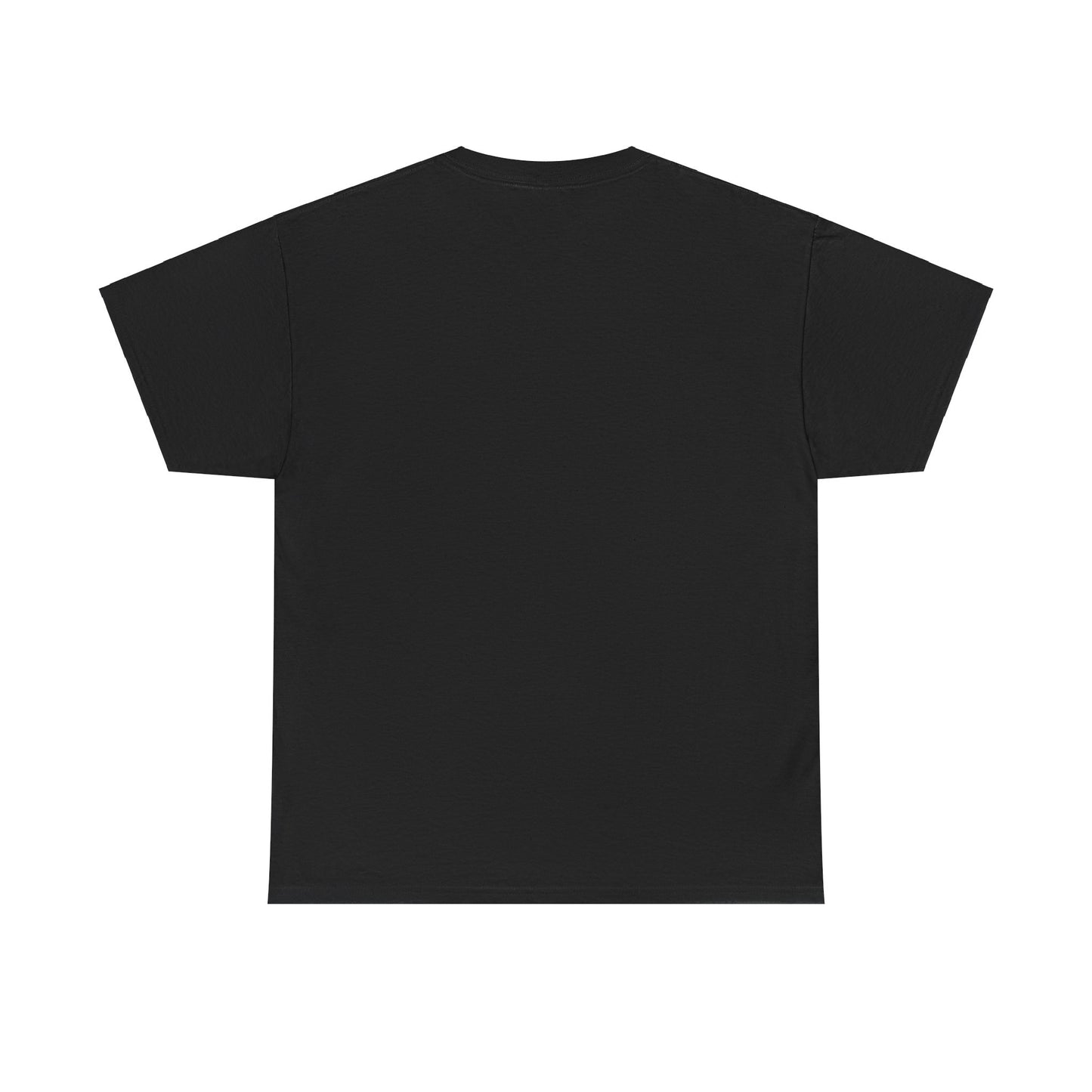 ORLANDO FLORIDA TEDDY T-SHIRT