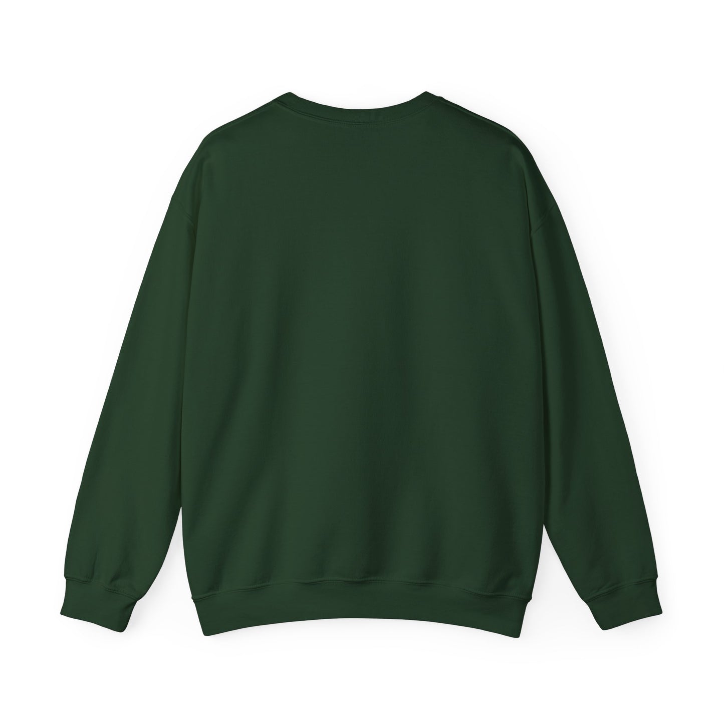 CORAL GABLES, FLORIDA TEDDY SWEATSHIRT