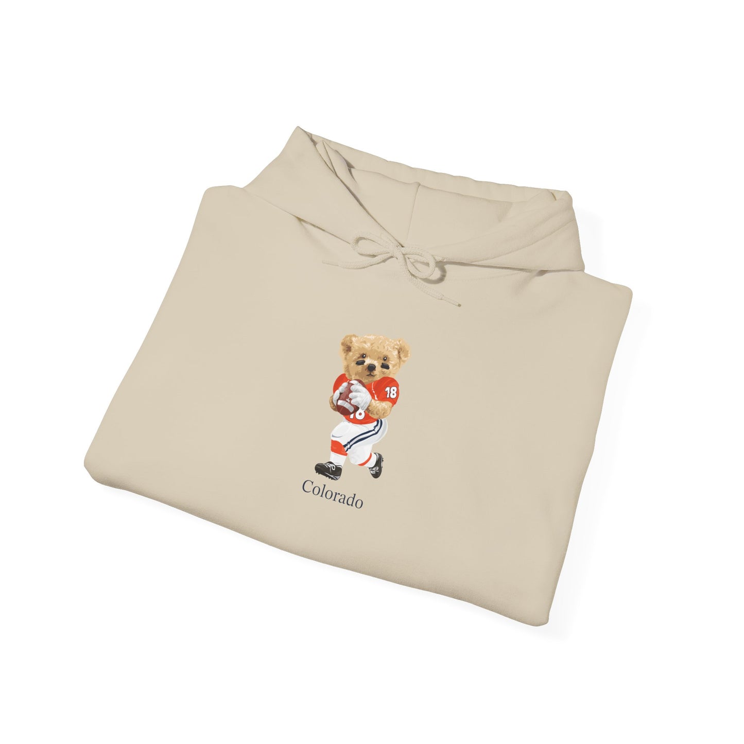 DENVER COLORADO TEDDY HOODIE