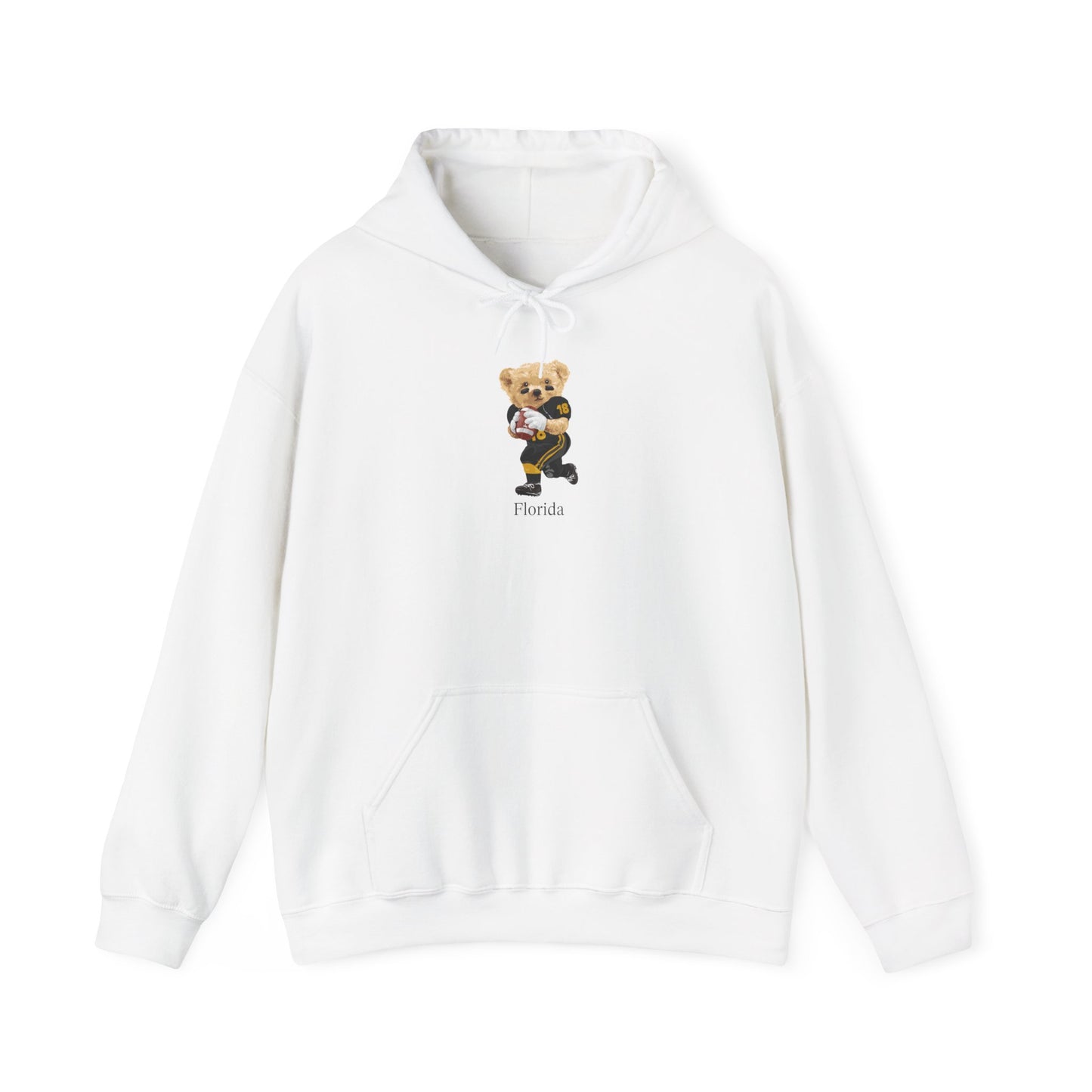 ORLANDO FLORIDA TEDDY HOODIE