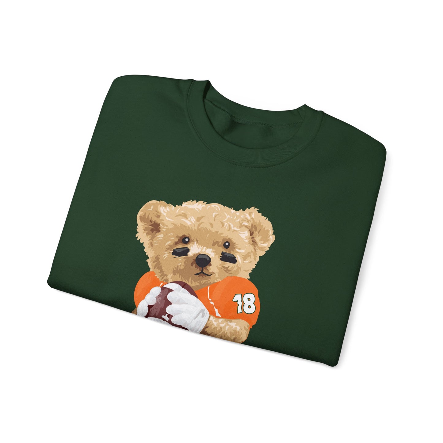 CORAL GABLES, FLORIDA TEDDY SWEATSHIRT