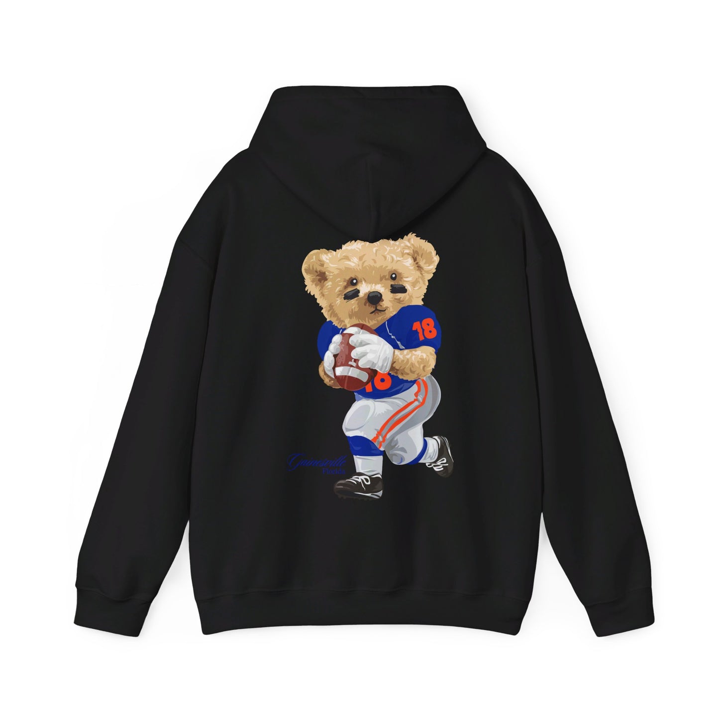 GAINESVILLE FLORIDA TEDDY HOODIE