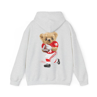 ATHENS GEORGIA TEDDY HOODIE