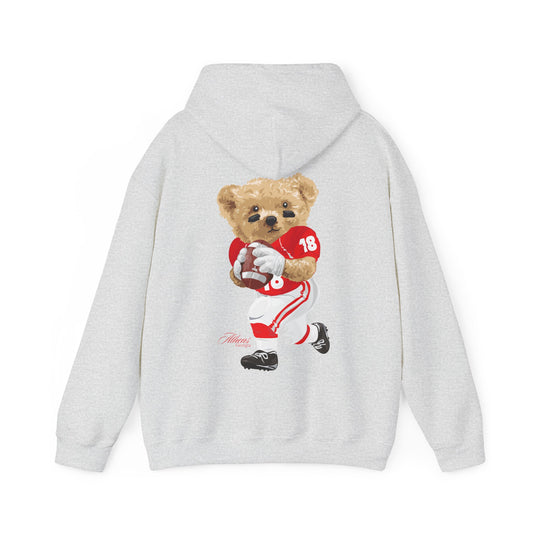 ATHENS GEORGIA TEDDY HOODIE