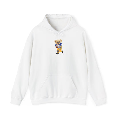 PITTSBURGH, PENNSYLVANIA TEDDY HOODIE