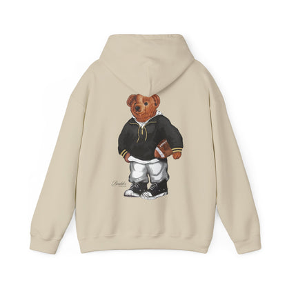 BOULDER COLORADO TEDDY HOODIE