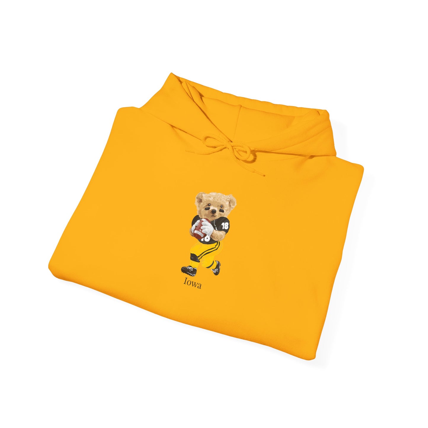 IOWA TEDDY HOODIE