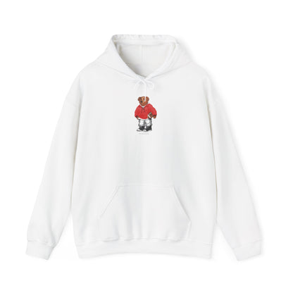 NEW BRUNSWICK TEDDY HOODIE