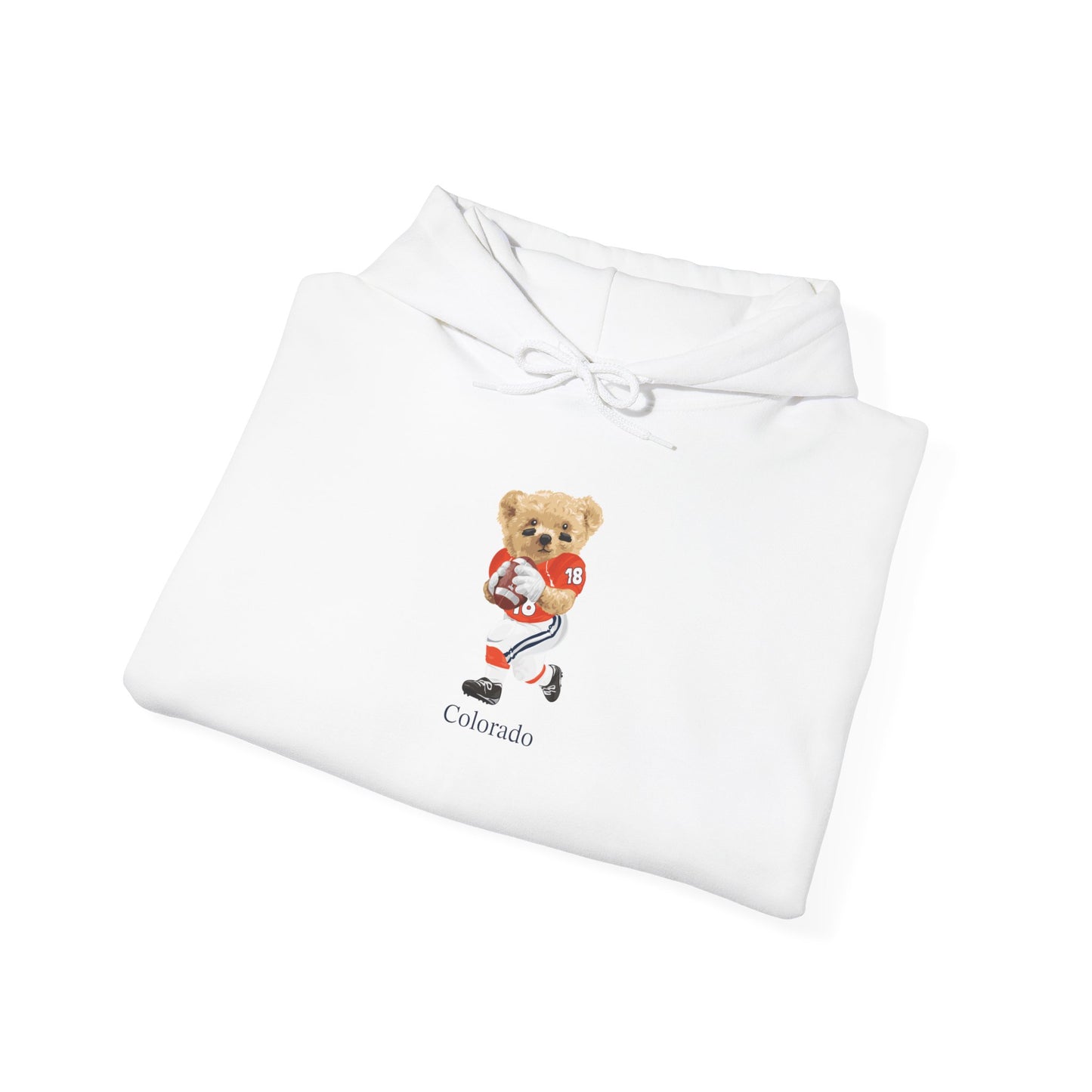 DENVER COLORADO TEDDY HOODIE
