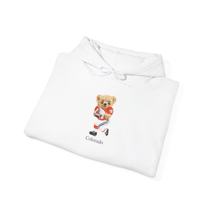 DENVER COLORADO TEDDY HOODIE