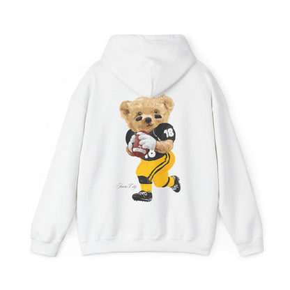 IOWA TEDDY HOODIE