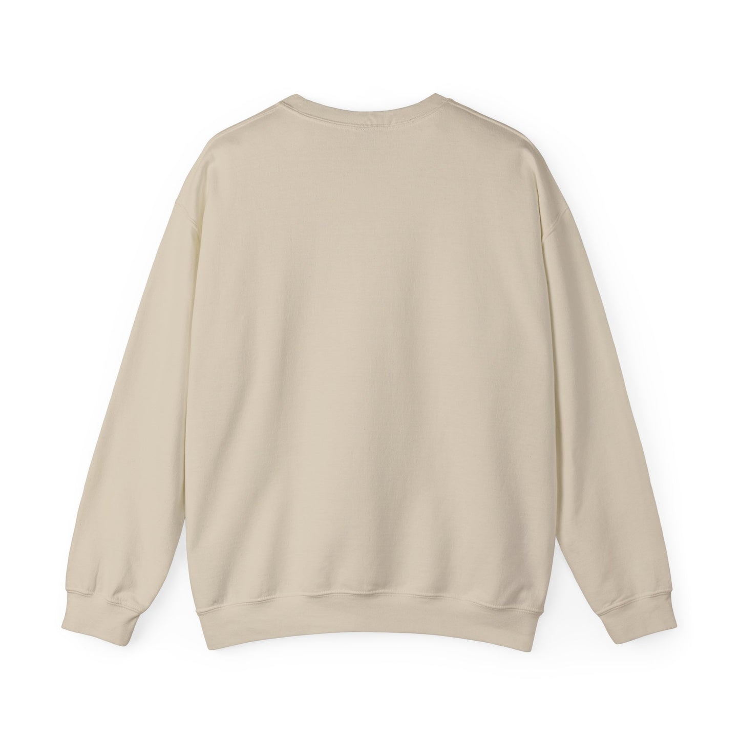ANN ARBOR BASKETBALL TEDDY SWEATSHIRT