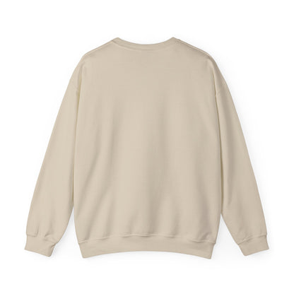 ANN ARBOR BASKETBALL TEDDY SWEATSHIRT