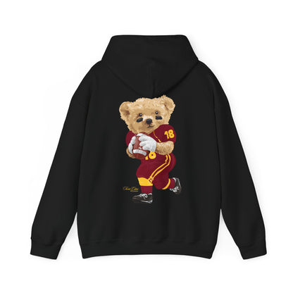 TWIN CITIES MINNESOTA TEDDY HOODIE