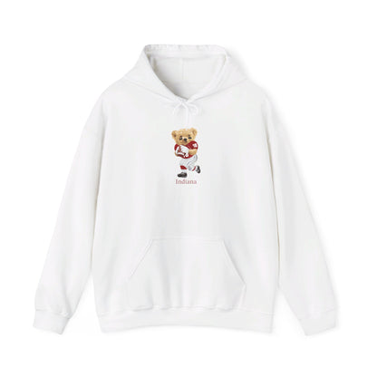 BLOOMINGTON INDIANA TEDDY HOODIE