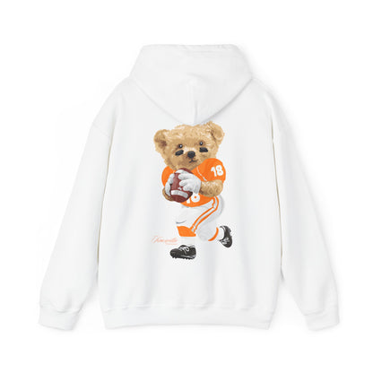 KNOXVILLE TENNESSEE TEDDY HOODIE