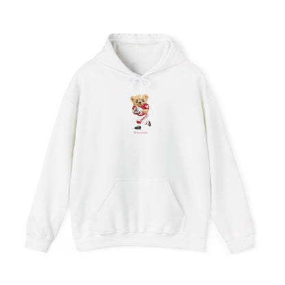 MADISON WISCONSIN TEDDY HOODIE