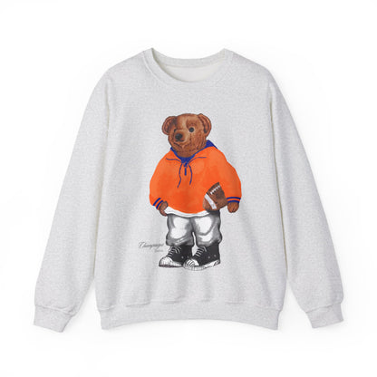 CHAMPAIGN, ILLINOIS TEDDY SWEATSHIRT