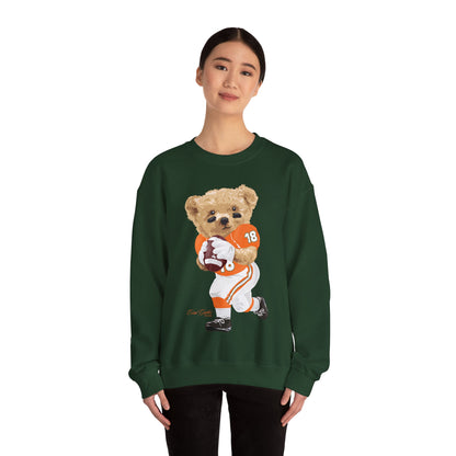 CORAL GABLES, FLORIDA TEDDY SWEATSHIRT
